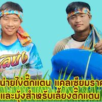 รุ่งเรืองตั๊กแตน