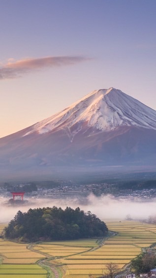 รับหิ้ว Japan 1-7 มีนา✈️✈️