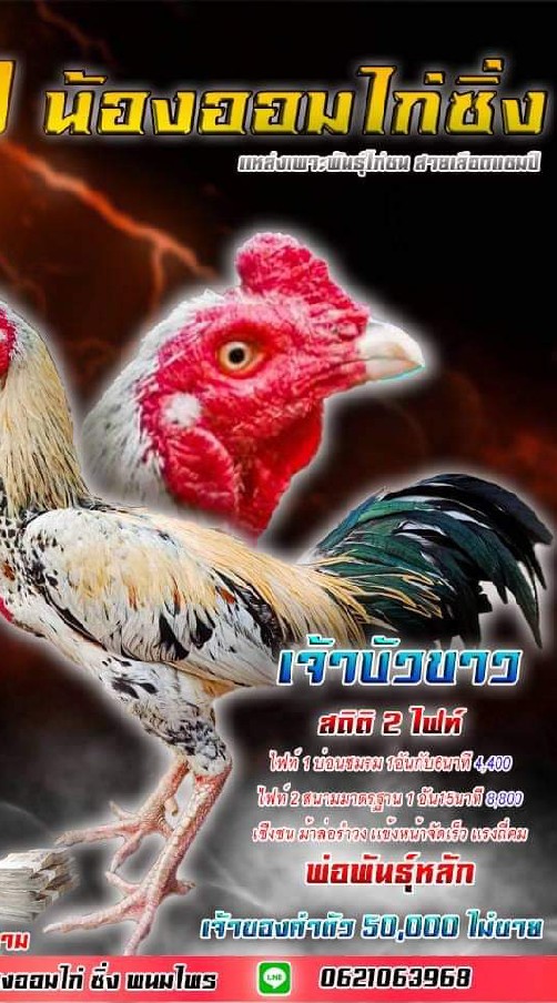อ.เจริญทรัพย์ ไก่ซิ่ง