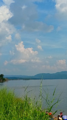ท้องฟ้าของหนู