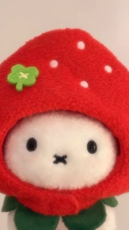 แมพปลูกสวน🍎🥦🍅 !!
