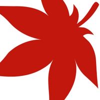 回味頑童