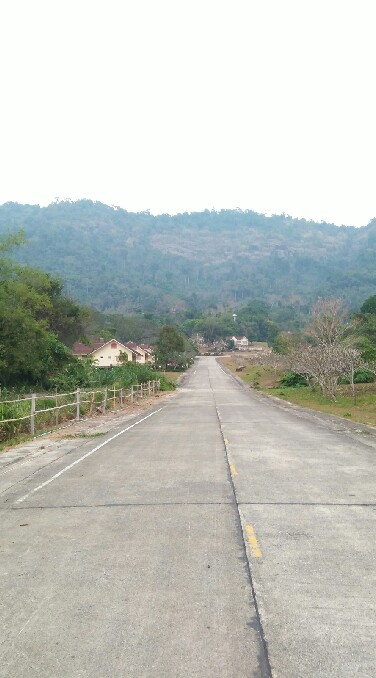 เพื่อนร่วมทาง