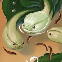 有機蔬菜水根栽種分享
