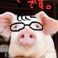 ファンチ【チャット禁止🙅‍♂️】