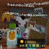 マイクラ組 (shotaのPVP)