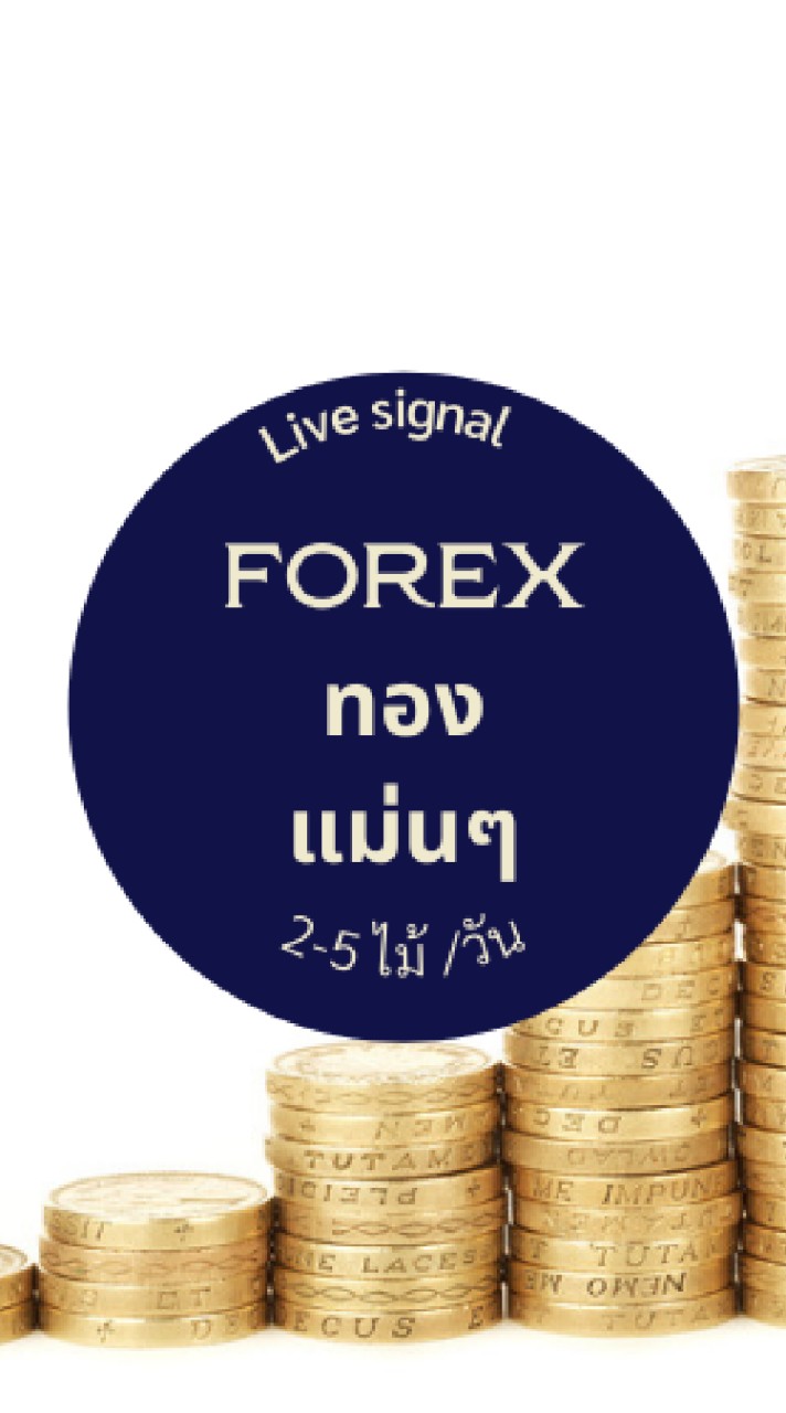 Live Signal Forex ทอง แม่นๆ 2-5 ไม้/วัน OpenChat