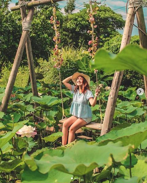 圖片來源 / IG @pamtingzon