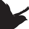 切換英雄 Nightjar