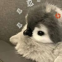你做Joker最無敵阿官 家族