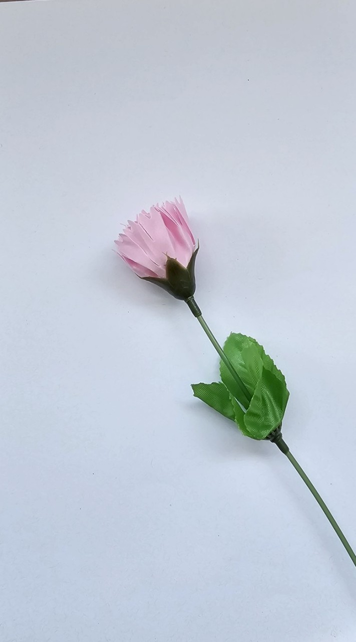 賴家影片記事本