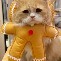 ฉางเกอจินจิน