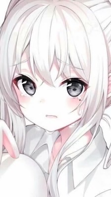 雪兔世界