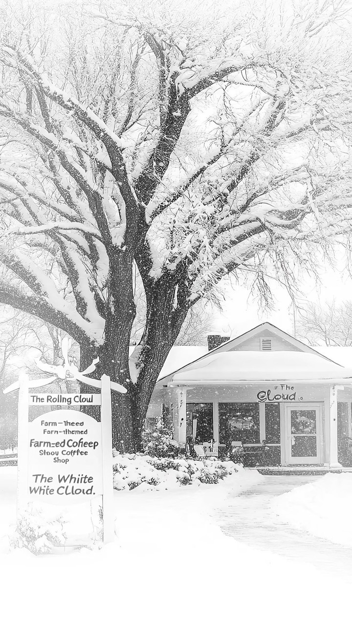 . ִ ֗ ✧ 初めての雪 ⊹ ₊˚