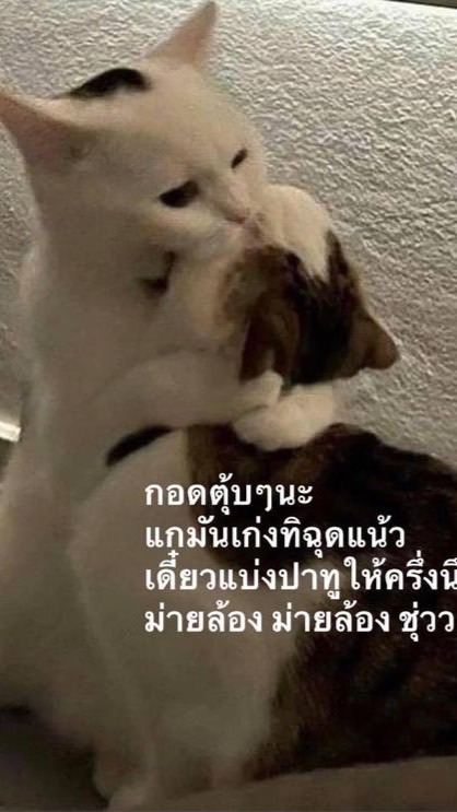 เด็กซิ่ว TU84 สู้ตายวายร้าย