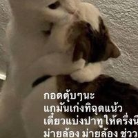 เด็กซิ่ว TU84 สู้ตายวายร้าย