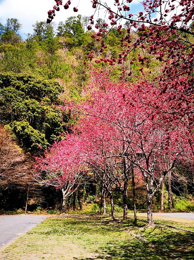 圖片來源：雄獅旅遊