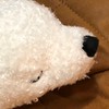 おとくま相談所
