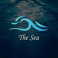 Thesea Forex ! 📊