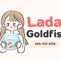 Lada goldfish🐡