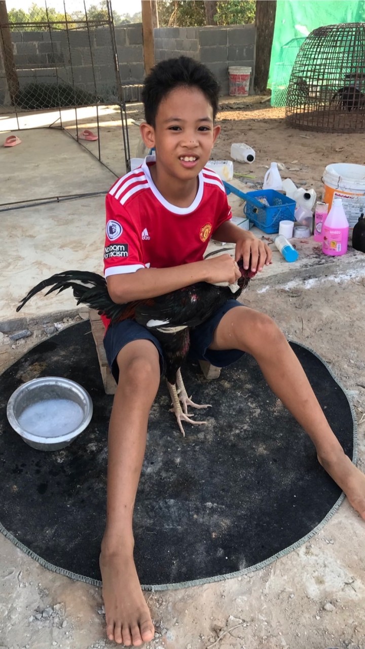ร่มโพธิ์ทอง