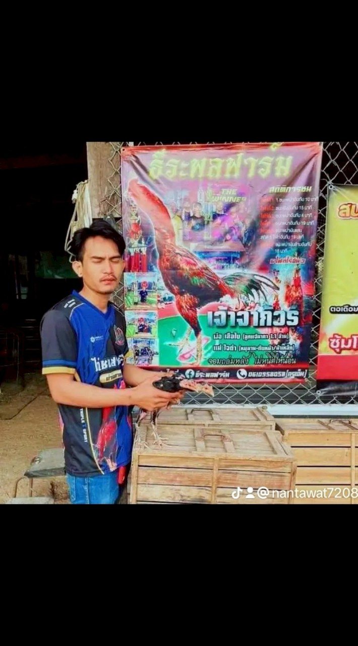 ซุ้ม น้องทอฝัน