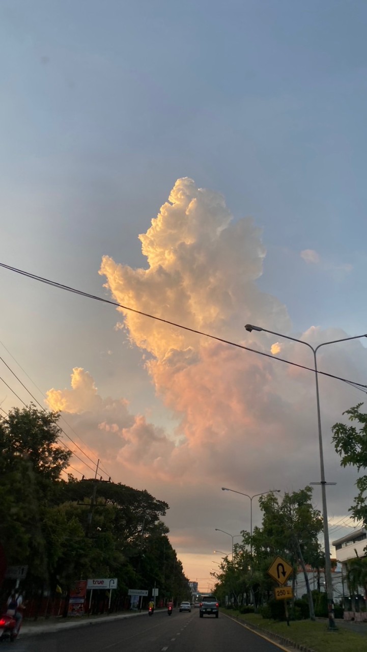 เด็กชายขายเนื้อหลัง มข