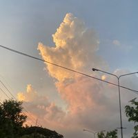 เด็กชายขายเนื้อหลัง มข