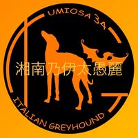 umiosa34 湘南乃伊太愚麗🏝