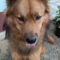ราชอาณาจักรพชร