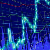 ライズゴールド【FX自動売買】ゴールドEA マイクロ対応 全通貨対応