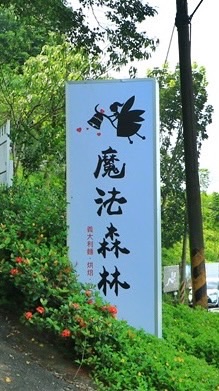 魔法森林🌳