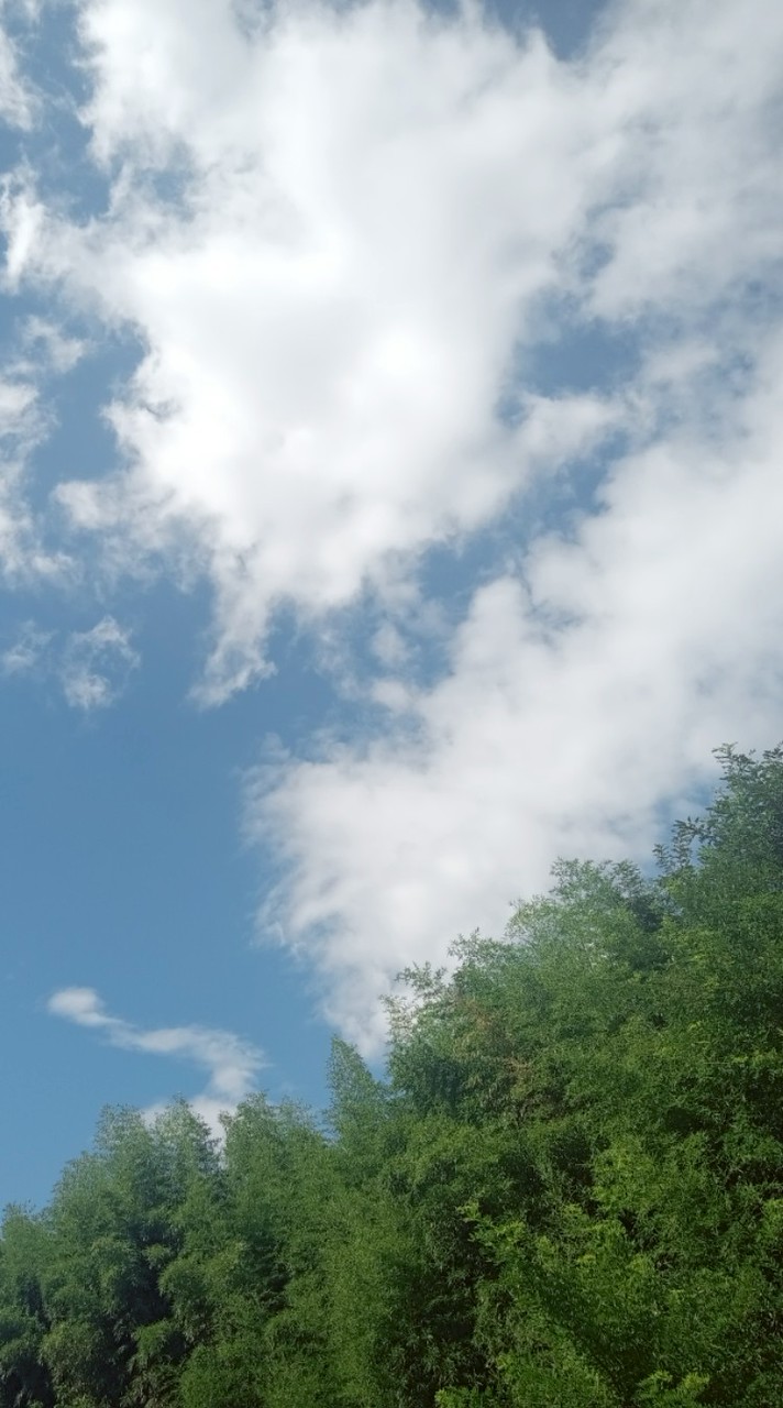 古の歌オプ