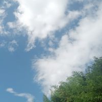 古の歌オプ