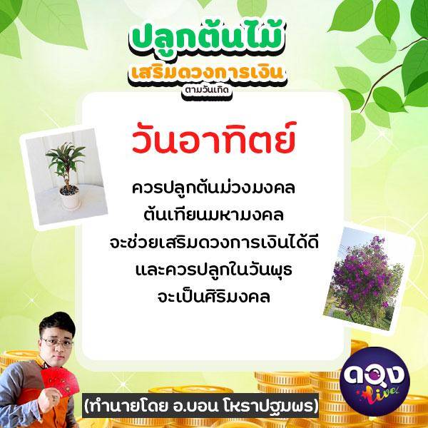 ปลูกต้นไม้เสริมดวง การเงิน ตามวันเกิด (ทำนายโดย อ.บอน โหราปฐมพร) | ดวง Live  | Line Today