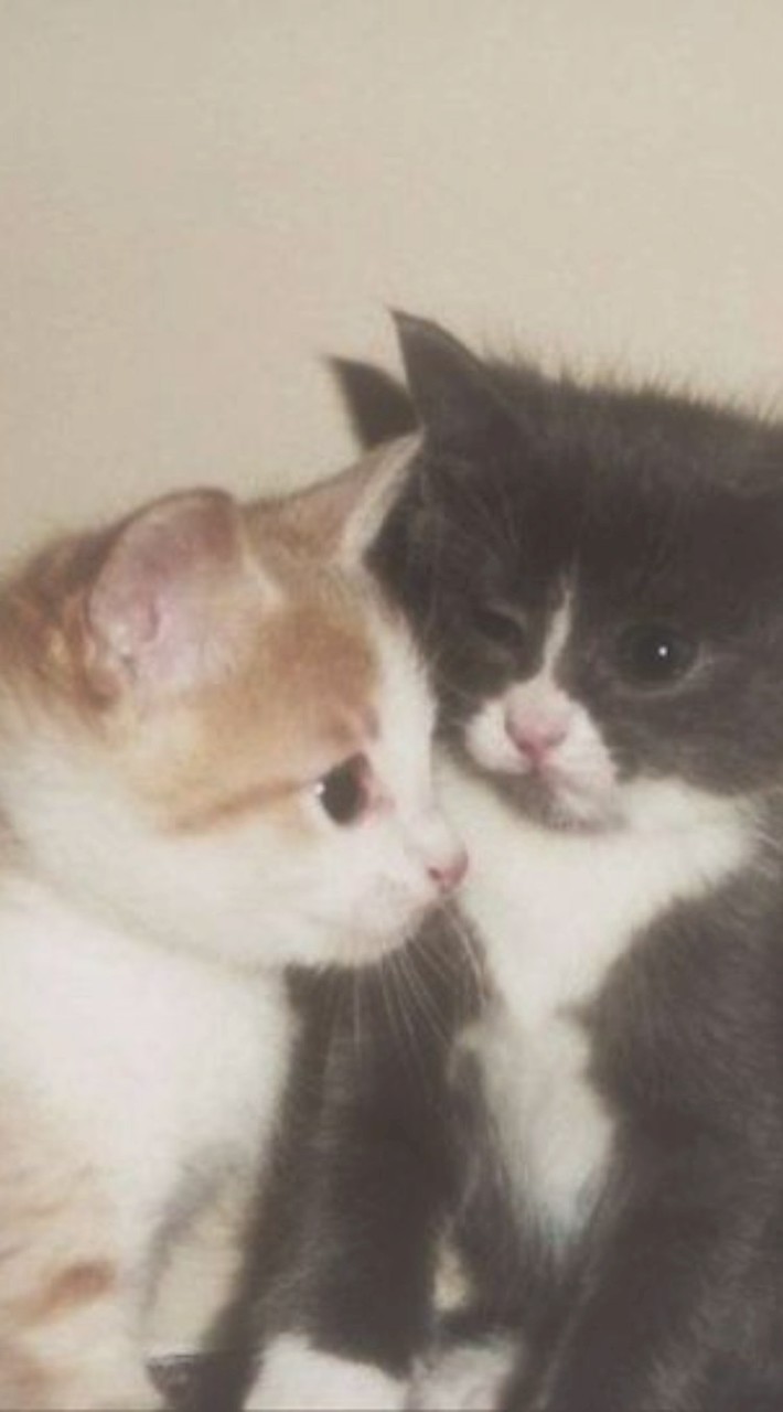 เล่นเกม~คุยเล่น~หาเพื่อน มาคุยกันหนุกๆเลยนะค้าบบบ 𓂃ෆ˚