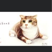 云山美術
