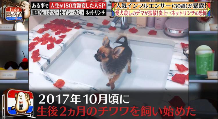 犬殺し デマが拡散し大炎上 ネットリンチの恐怖