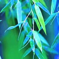北/物業保全職缺(禁言)