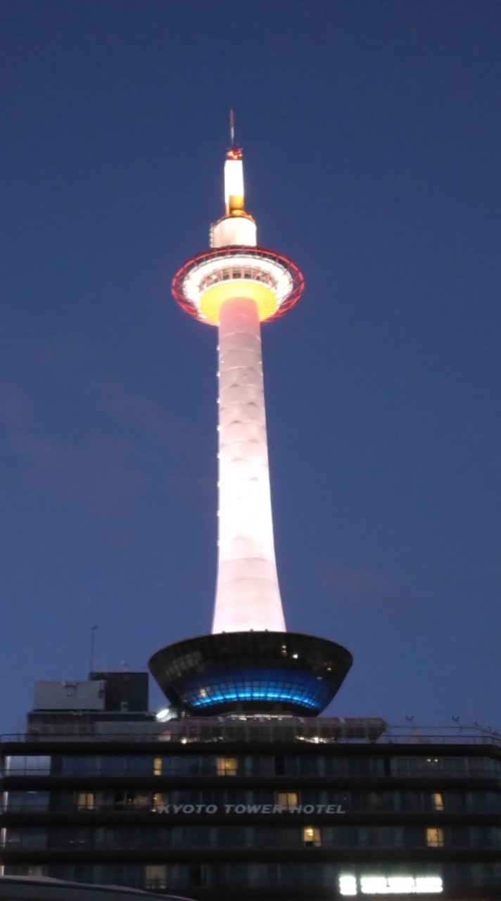 老後おひとりさまの日常と雑談
