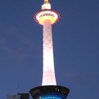 老後おひとりさまの日常と雑談