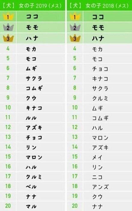 食べ物の名前が多数ランクイン メス犬の名前ランキング