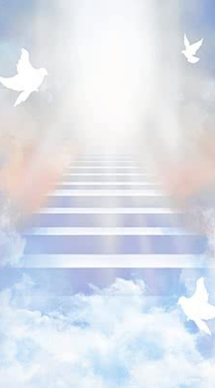 3 Miracles
