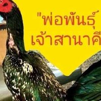 ซุ้ม เพชรบูรพา