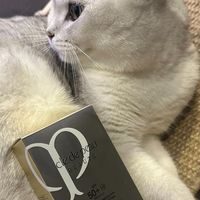 The Cosmetic By Peter
