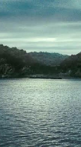 เกาะ(ไม่)ร้าง•The Untamed•