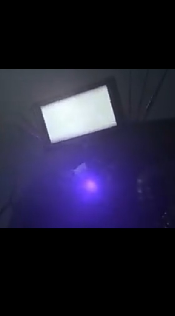 cameraman