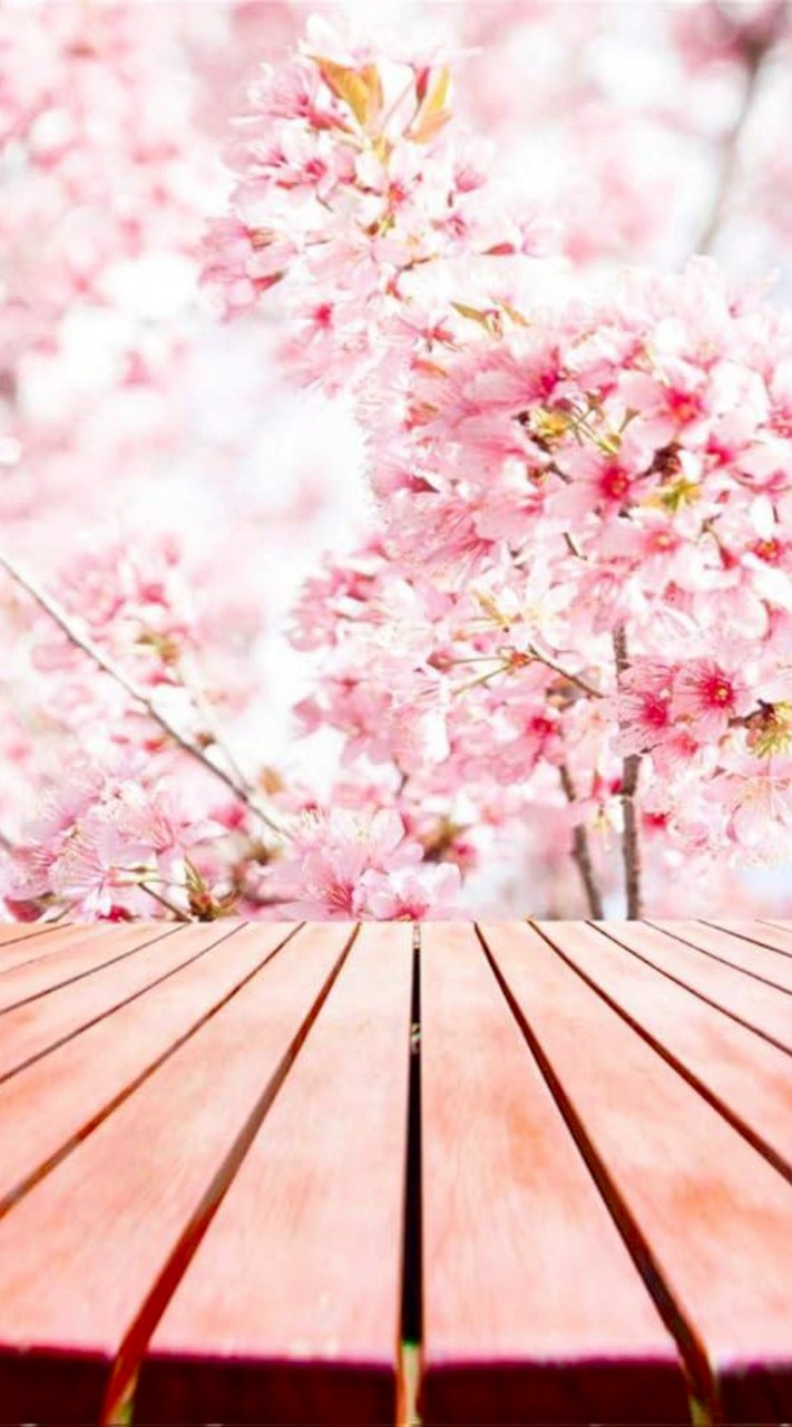 ミライマイドしてる人が来る場所です