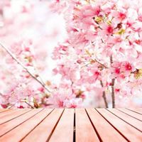 ミライマイドしてる人が来る場所です