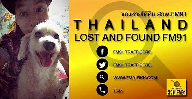 ค ดถ งเหล อเก นล ก หนมหวาน ส น ขแก พ นธ พ ดเด ลผสม หายออกจากบ านย านด นแดง สวพ Fm91 Line Today